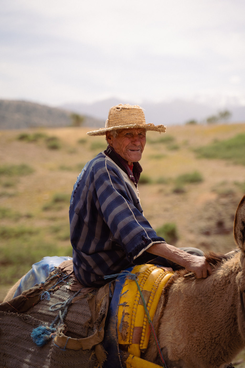 A man in a straw hat on a donkey, in a 4:5 frame